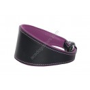 Ace Traditional Leather Dog Collar lined with super SOFT leather ::PURPLE LINING::